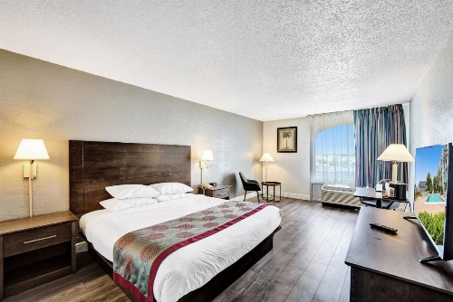 Plaza Hotel Fort Lauderdale image 14